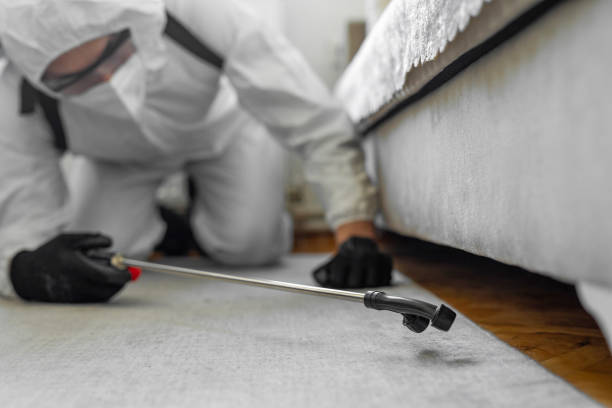 Professional Cockroach Control technician working in Allison, IA